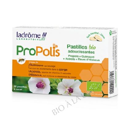 Pastilles Gorge Adoucissantes X20