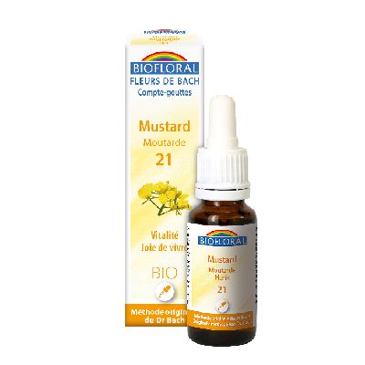 Ef Moutarde 20 Ml